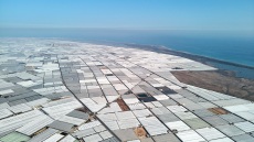 Mία «θάλασσα» από θερμοκήπια στην Αλμερία