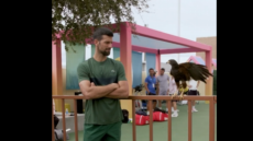 Νικητής σε «staring contest» με γεράκι ο Τζόκοβιτς - Βίντεο