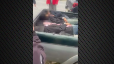 Διακινητές στοίβαζαν παράνομους μετανάστες σε αγροτικά για να τους μεταφέρουν από τον Έβρο στη Θεσσαλονίκη - Έβγαλαν €500.000 με 8 μεταφορές