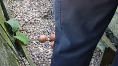 Οργή στη Βρετανία για άγνωστο που έσπασε τα αβγά σε φωλιά γερακιών σε livestream μετάδοση