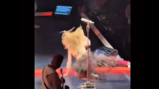 Η Σακίρα έφαγε τούμπα στη σκηνή σε συναυλία στο Μόντρεαλ - Την αποθεώνουν για την αντίδρασή της
