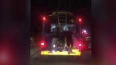 Πατήσια: Νεαροί «κρεμάστηκαν» στο πίσω μέρος τρόλεϊ - Δείτε βίντεο
