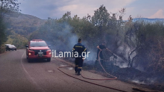 Φωτιά τώρα στη Φθιώτιδα, σηκώθηκαν δύο αεροσκάφη και ένα ελικόπτερο