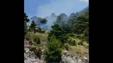Φωτιά στα Βίλια - Οριοθετήθηκε μετά την παρέμβαση της πυροσβεστικής
