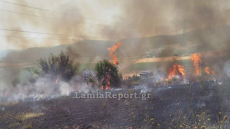 Φωτιά τώρα στον Δομοκό, καίει σε αγροτική έκταση - Σηκώθηκαν δύο αεροσκάφη 