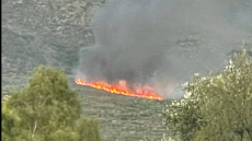 Έσβησε η φωτιά στη Σπάρτη, στην περιοχή Άγιοι Ανάργυροι - Παραμένουν δυνάμεις πυρόσβεσης στο σημείο
