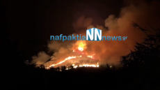 Φωτιά στην Μακύνεια Ναυπακτίας