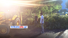 Κακοκαιρία: Ζημιές από το χθεσινό μπουρίνι σε Θεσσαλία και Μακεδονία, δείτε βίντεο και φωτογραφίες 