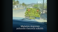 Οργή στην Τουρκία για νέους που έπεσαν με αυτοκίνητο σε καρπούζια επειδή... βαριόντουσαν - Δείτε βίντεο