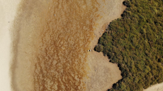 Κλιματική αλλαγή - Ξηρασία: Έπληξε το 52% των εδαφών στην Ευρώπη και την περιοχή της Μεσογείου τον Ιούλιο
