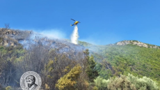 Φωτιά τώρα σε δασική έκταση στο Λεοντάρι Αρκαδίας, σηκώθηκαν 7 εναέρια μέσα - Δείτε βίντεο