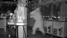 Καλιφόρνια: Η στιγμή που κλέφτες αδειάζουν κατάστημα από κούκλες Labubu αξίας χιλιάδων δολαρίων
