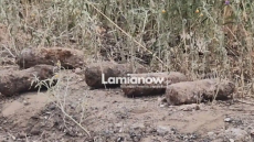 Συναγερμός στη Φθιώτιδα: Βλήματα του Β’ Παγκοσμίου Πολέμου εντοπίστηκαν σε έργα φυσικού αερίου - Δείτε βίντεο και φωτογραφίες