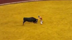 Τραγωδία στη Λισαβόνα: 22χρονος προκάλεσε ταύρο και σκοτώθηκε σε αρένα