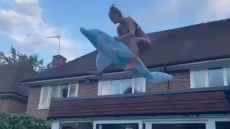 33χρονο μοντέλο έκανε βουτιά από σκεπή σε πισίνα και «έσπασε τα μούτρα» της - Δείτε βίντεο