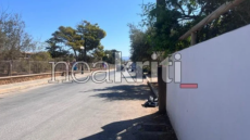 Κρήτη: Συνελήφθη 27χρονος Αιγύπτιος για το τροχαίο με θύμα 23χρονη στα Μάλια - Οδηγούσε χωρίς δίπλωμα