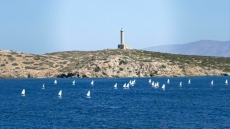 Ιστιοπλοΐα: Μάχη για τις πρώτες θέσεις στο πανελλήνιο πρωτάθλημα όπτιμιστ 