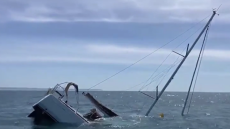 Βίντεο: Όρκες στην Πορτογαλία επιτέθηκαν σε τουριστικό σκάφος και το βύθισαν