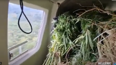 Βρήκαν μεγάλη φυτεία κάνναβης σε βουνό της Ηπείρου - Επιστράτευσαν ελικόπτερο για τα χασισόδεντρα, δείτε βίντεο