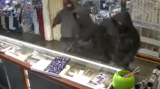 Δραματική ληστεία κοσμηματοπωλείου στο Λος Άντζελες: «Φύγετε» φώναζε υπάλληλος στους δράστες - Πυροβόλησαν υπάλληλο security