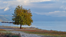 Πώς ένα μικροσκοπικό σαλιγκάρι συνδέει την εξελικτική ιστορία Τριχωνίδας και Οχρίδας που βρίσκονται 200 χλμ. μακριά η μια από την άλλη