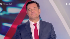 Γεωργιάδης: Η Καρυστιανού βγάζει ακροδεξιό προφίλ, να πει ποιους εννοεί ότι της πρόσφεραν λεφτά για να μην κάνει κόμμα 