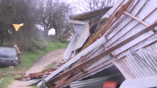 Ανεμοστρόβιλος σάρωσε την Ηλεία: Κατέρρευσε στάβλος στην Πηνεία, χάθηκαν δεκάδες ζώα