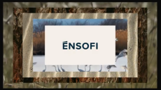 Ο Ομιλος ΤΕMES του Costa Navarino και του The Illisian γίνεται ĒNSOFI