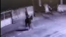 Διαρρήκτης στην Τουρκία άνοιξε κοσμηματοπωλείο με κλαρκ και διέφυγε με... γαϊδούρι, δείτε βίντεο