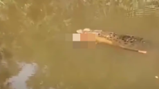 Φρικτός θάνατος για γυναίκα στην Ινδονησία: Την κατασπάραξε κροκόδειλος ενώ έψαχνε για μύδια