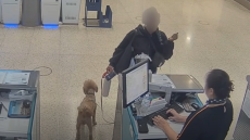 Το βίντεο που συγκίνησε το Λας Βέγκας: Άκαρδη τουρίστρια παράτησε το κουτάβι της στο αεροδρόμιο και συνελήφθη, δείτε βίντεο