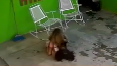 Μεξικό: Άγρια επίθεση σκύλου σε 7χρονο κορίτσι - Χρειάστηκε να της γίνουν 68 ράμματα στο κεφάλι, δείτε βίντεο