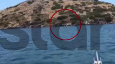 Καρέ - καρέ η διάσωση 14χρονου και της μητέρας του στα Μέγαρα που παρασύρθηκαν στη θάλασσα και βρέθηκαν δίπλα σε βραχονησίδα