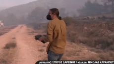 Δημοσιογράφος διέκοψε το live από τη φωτιά στον Κουβαρά για να σώσει χελώνα από τις φλόγες, δείτε βίντεο