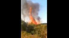 Οριοθετήθηκε η φωτιά στην Βάρδα Ηλείας