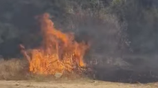 Υπό μερικό έλεγχο η φωτιά στο Γενέσι Τρικάλων, δείτε βίντεο