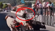 Ταύρος σκότωσε 64χρονη σε φεστιβάλ στην Ισπανία, βίντεο από την στιγμή της επίθεσης