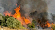Υψηλός κίνδυνος πυρκαγιάς σήμερα σε Αττική και άλλες περιοχές της χώρας