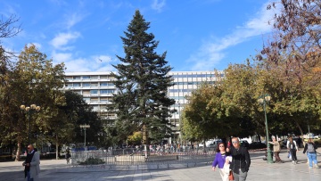 Στην πλατεία Συντάγματος το 19,5 μέτρων χριστουγεννιάτικο δέντρο του Δήμου Αθηναίων- Ήρθε από τον Ταξιάρχη Χαλκιδικής