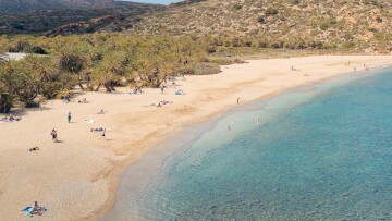 Aνατολική Κρήτη: Παραλίες με φοίνικες και τοπία γεμάτα ελαιόδεντρα
