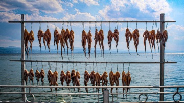 Αμάρυνθος: 5 προτάσεις για θαλασσινά με θέα στον Ευβοϊκό