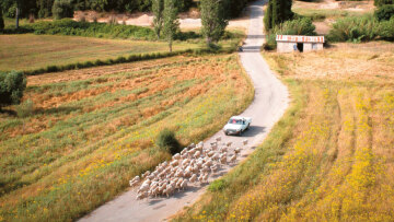 OΠΕΚΕΠΕ: Δεσμεύτηκαν περιουσίες για 250 πρόσωπα για παράνομες επιδοτήσεις - Δεν έχουν επιστραφεί χρήματα μέχρι τώρα