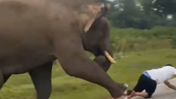 Τουρίστας πήγε να βγάλει selfie με ελέφαντα στην Ινδία και το μεγάλο ζώο τον ποδοπάτησε - Δείτε βίντεο