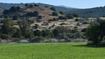 Παραχώρηση 252 στρεμμάτων για την ανασκαφή και ανάδειξη της αρχαίας Αρίσβης στη δυτική Λέσβο