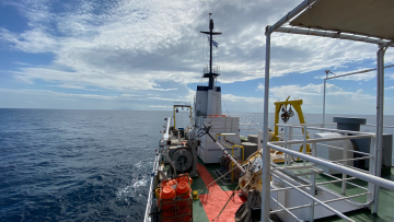 Έλληνες επιστήμονες αποκάλυψαν το παρελθόν της Ερυθράς Θάλασσας