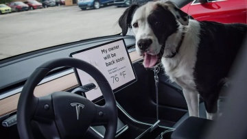 Προσοχή: Πόσο αποτελεσματική είναι η «λειτουργία σκύλου» στο αυτοκίνητο;