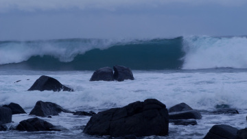 Στην Δυτική Ακτή των ΗΠΑ τα κύματα από το τσουνάμι 