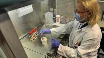 365 νέα κρούσματα E.coli στη Γερμανία