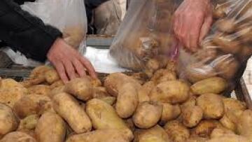 Πάνω από 55 τόνοι πατάτας σε τιμές παραγωγού από το Αριστοτέλειο