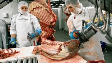 Κρέας αλόγου και... στη Γερμανία!